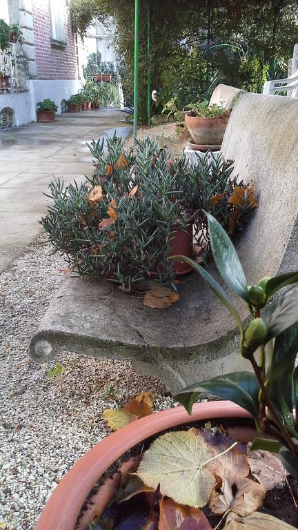 Villa Maria Bed & Breakfast, Corridonia, Marche Exterior photo