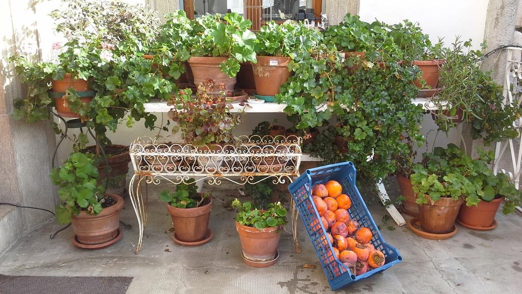 Villa Maria Bed & Breakfast, Corridonia, Marche Exterior photo
